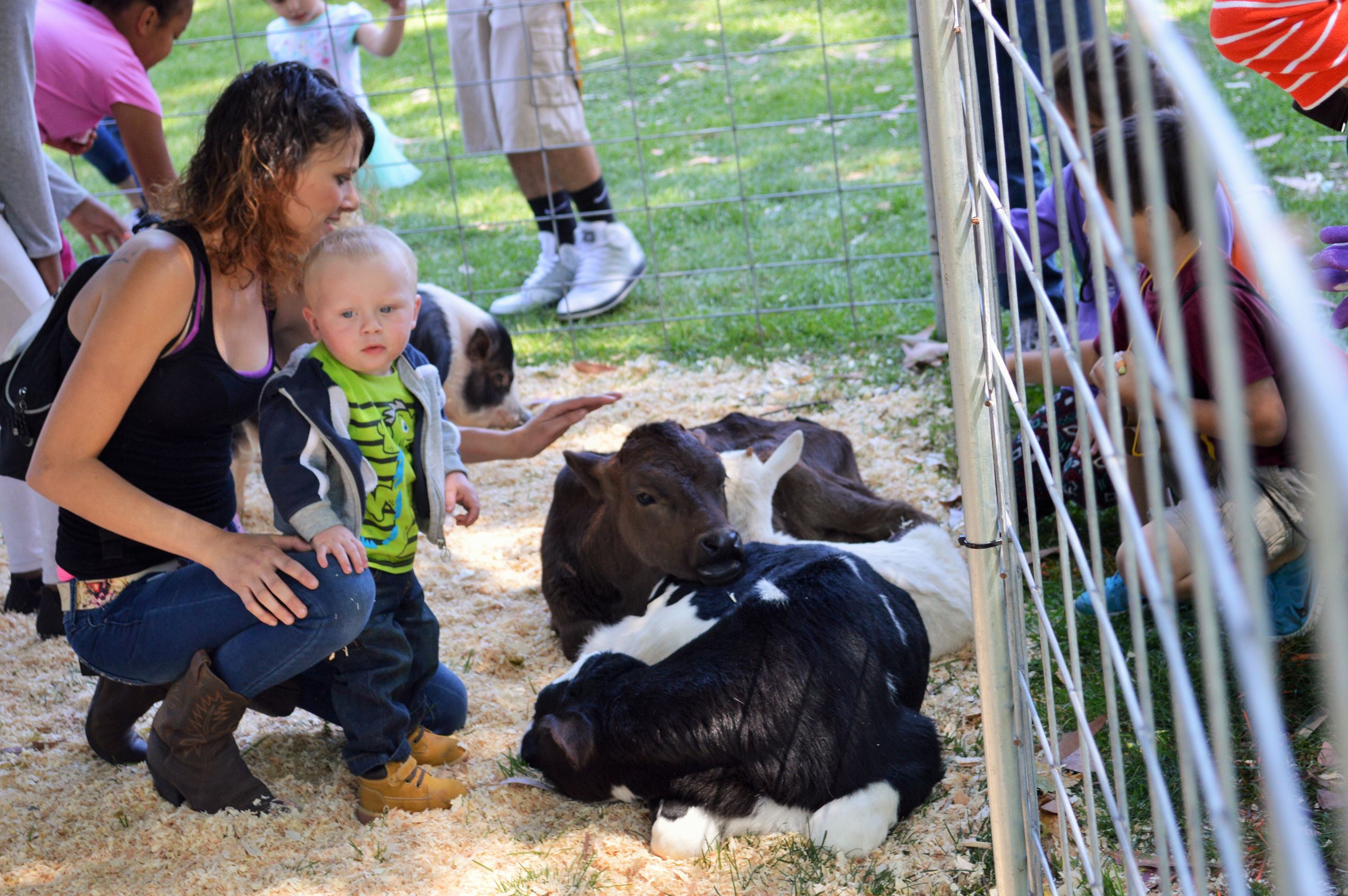 Farm Friends petting Zoo (3)